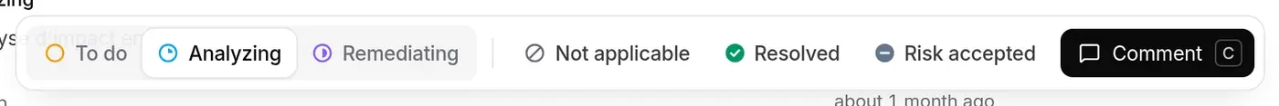 Tracking bar: In progress (To do, Analyzing highlighted, Remediating), then Not applicable, Resolved, Risk accepted, and Comment (C key)