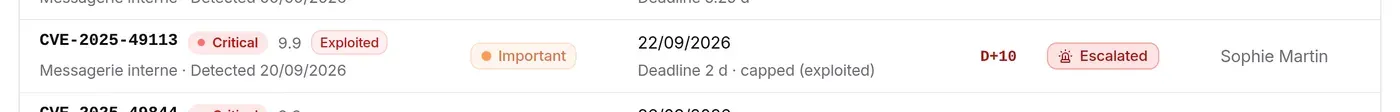 Due date row: CVE-2025-49113 critical and exploited, important asset, 2 d capped deadline, overdue