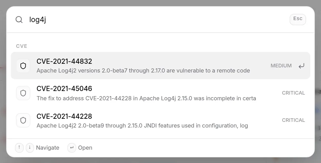 Searching for “log4j”: the matching CVEs